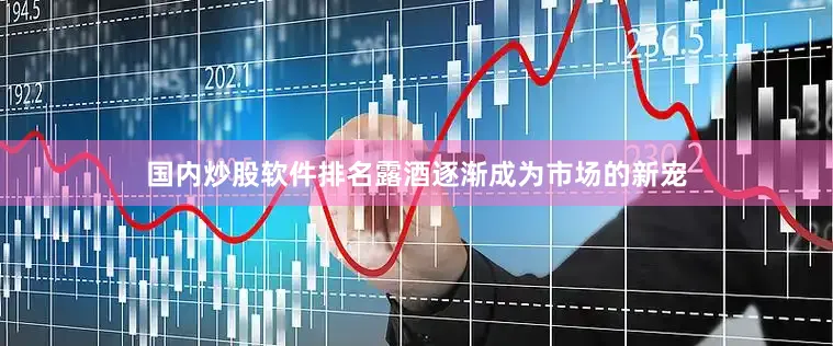 国内炒股软件排名露酒逐渐成为市场的新宠