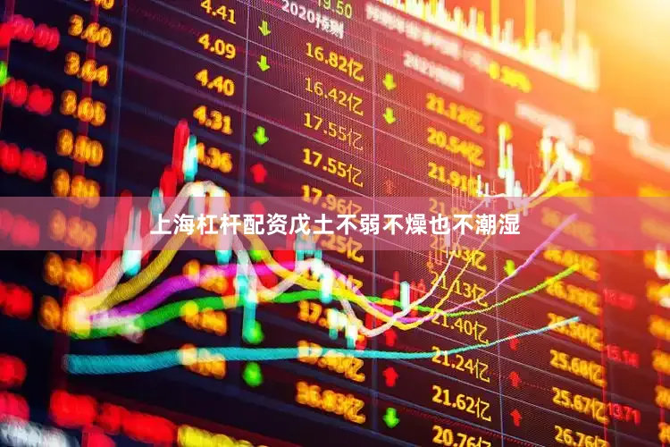 上海杠杆配资戊土不弱不燥也不潮湿